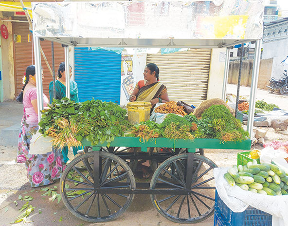 Woman stands behind a vegetable cart with a cooling canopy