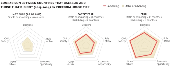 chart showing democratic backsliding explained in article