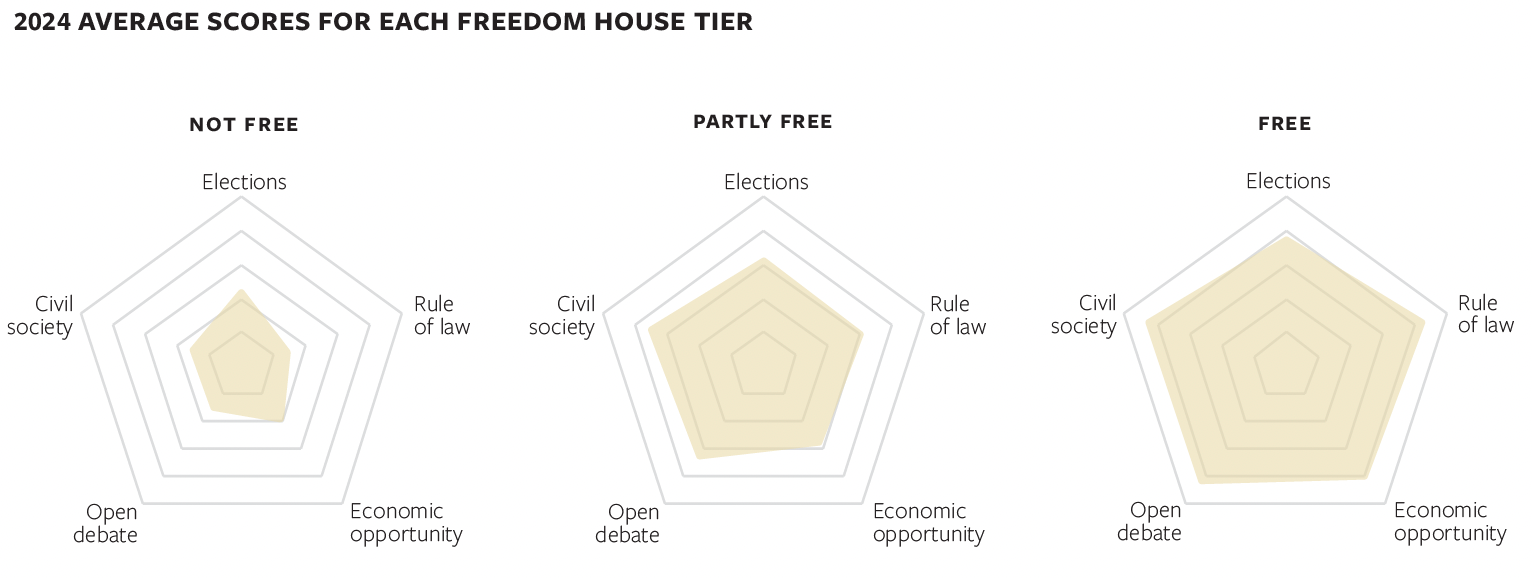 chart showing democratic backsliding explained in article