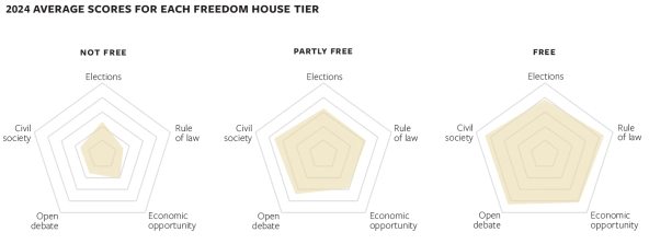 chart showing democratic backsliding explained in article